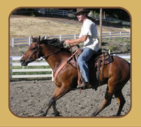 Horseback Riding Lessons